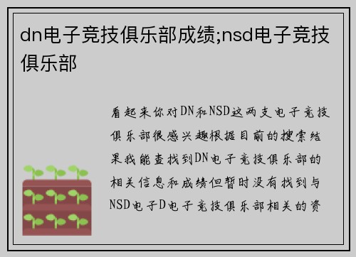 dn电子竞技俱乐部成绩;nsd电子竞技俱乐部